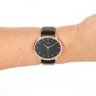 C11054-pols
