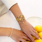 C11332_SB-1001_SB-1040_SB-1046a1x1